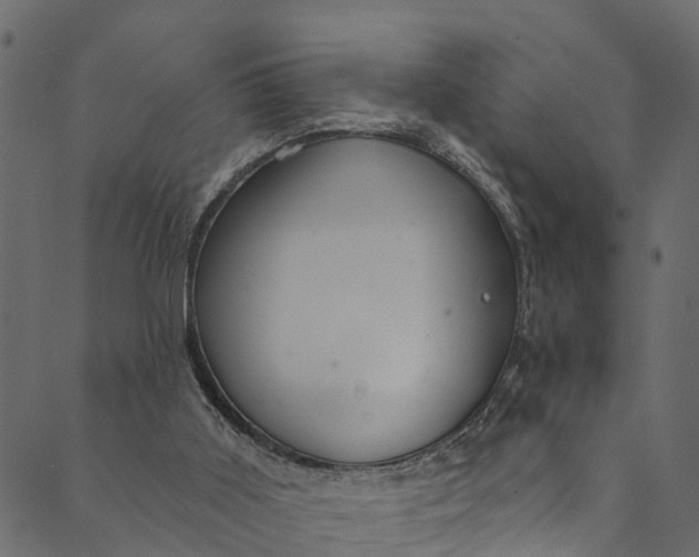 X0000089680011200707121300