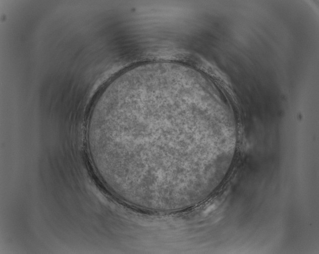 X0000089680012200707121300