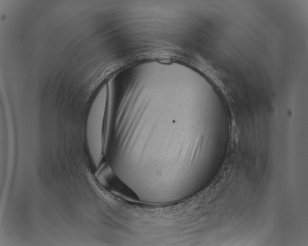 X0000089680013200707121300