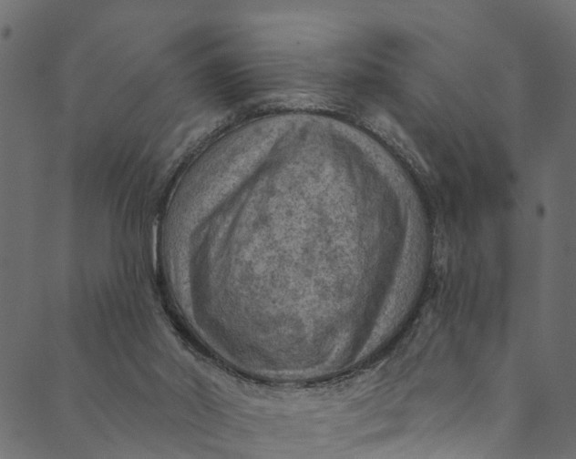 X0000089680014200707121300