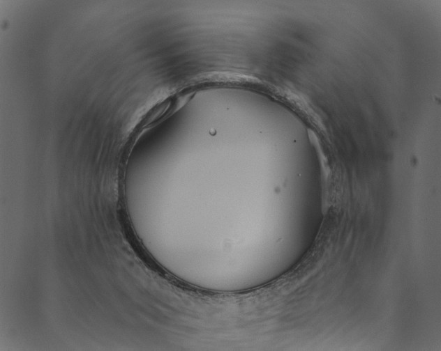 X0000089680015200707121300