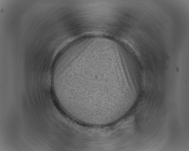 X0000089680016200707121300