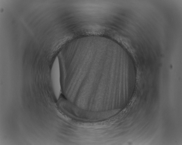 X0000089680017200707121300