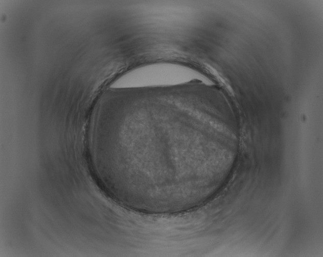 X0000089680018200707121300