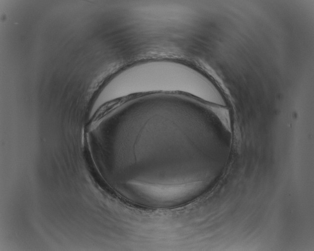 X0000089680019200707121300