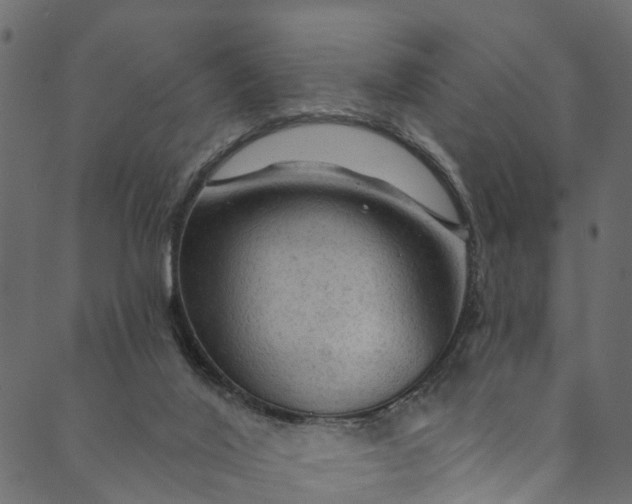 X0000089680020200707121300