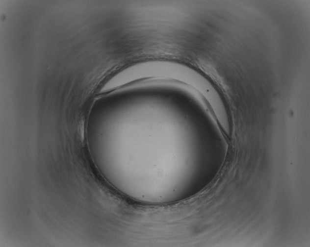 X0000089680021200707121300