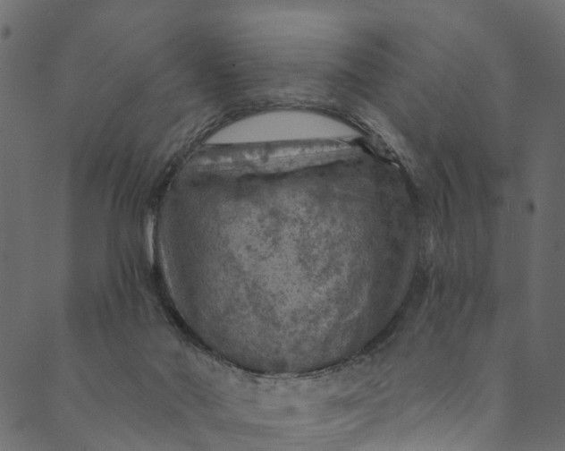 X0000089680022200707121300