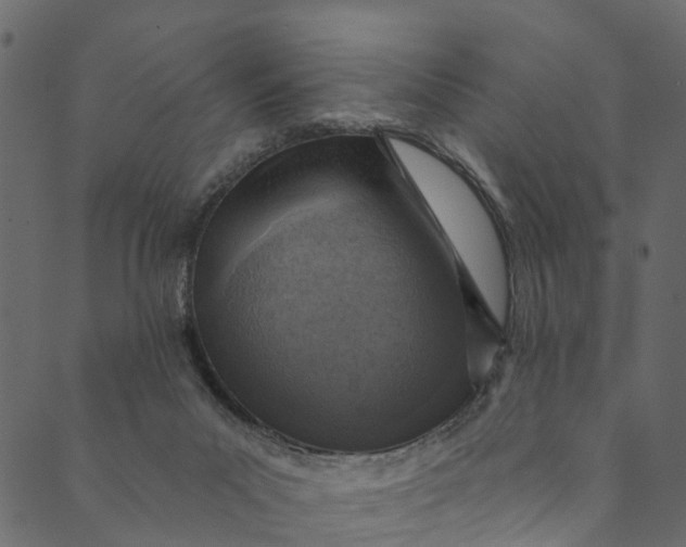 X0000089680023200707121300