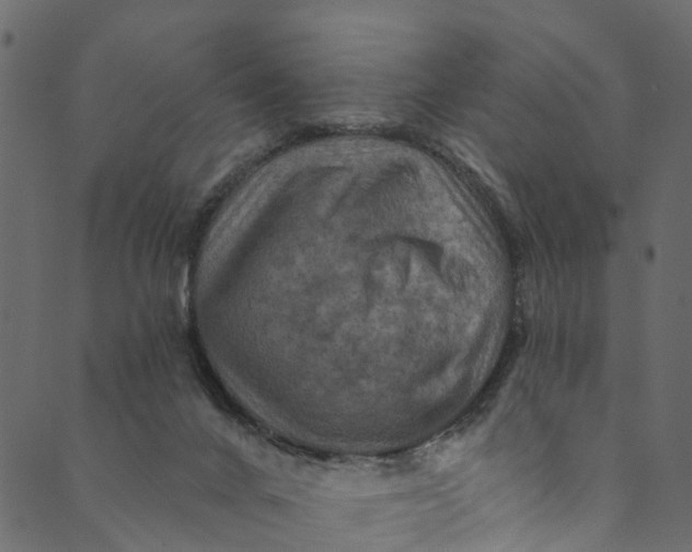 X0000089680024200707121300