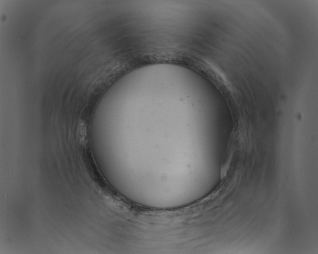 X0000089680025200707121300