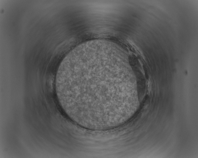 X0000089680026200707121300