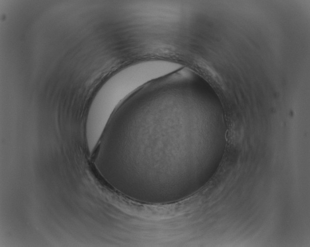 X0000089680027200707121300