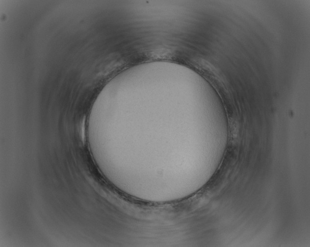 X0000089680028200707121300