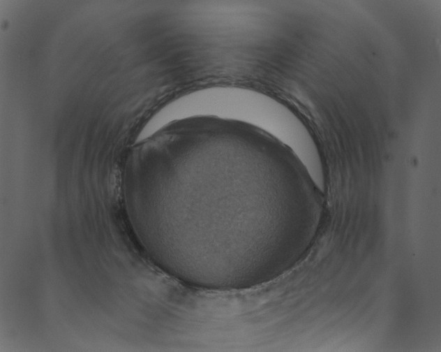 X0000089680029200707121300