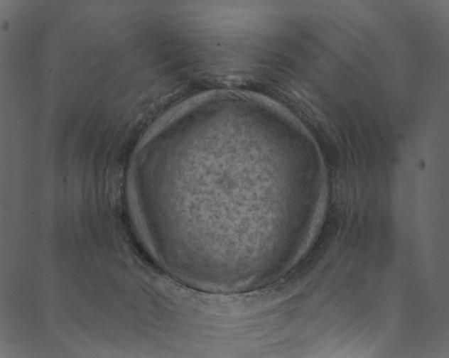 X0000089680030200707121300