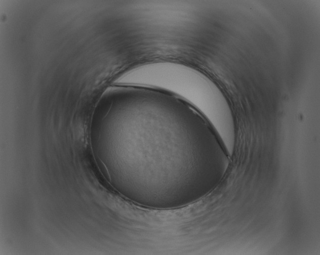 X0000089680031200707121300