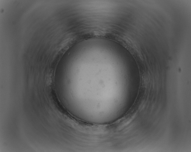 X0000089680032200707121300