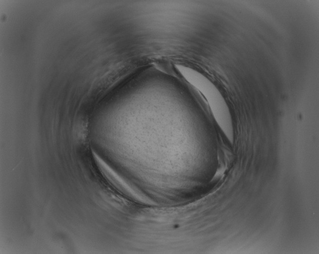 X0000089680033200707121300