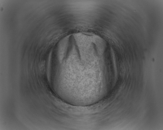 X0000089680034200707121300