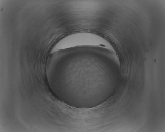 X0000089680035200707121300