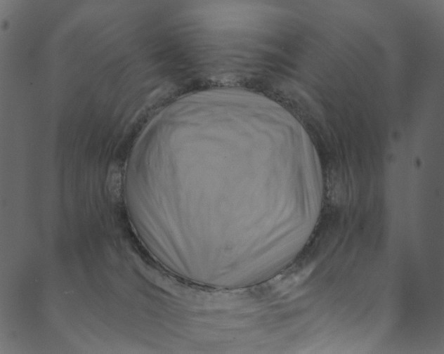 X0000089680036200707121300