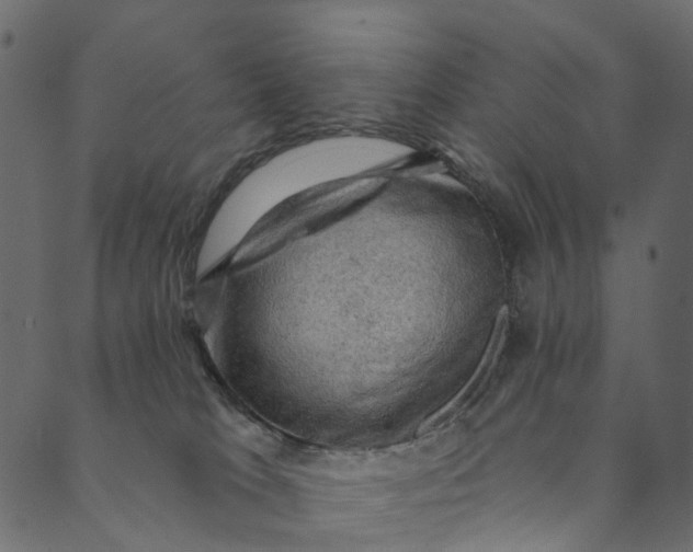 X0000089680037200707121300