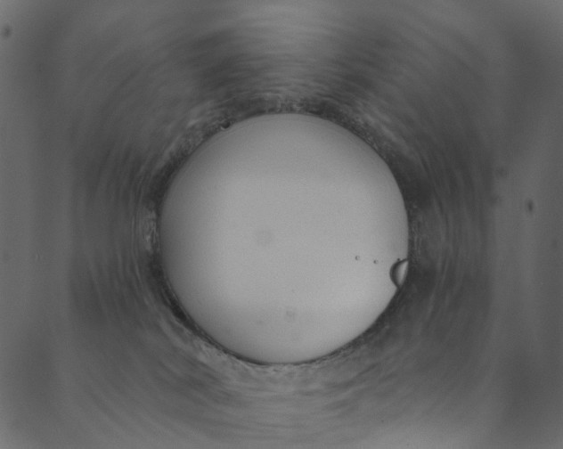 X0000089680038200707121300