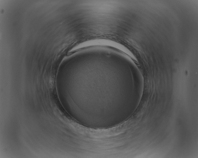 X0000089680039200707121300