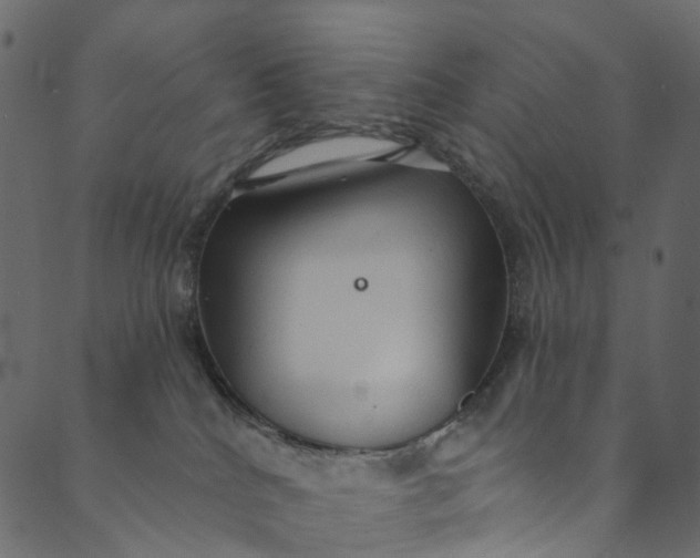 X0000089680040200707121300