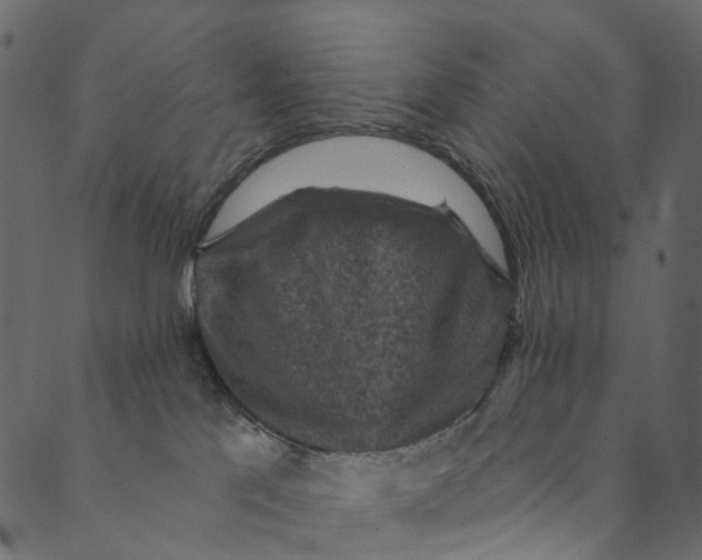 X0000089680041200707121300