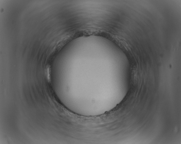 X0000089680042200707121300