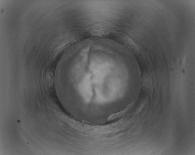 X0000089680043200707121300