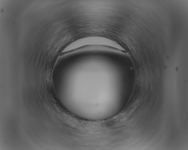 X0000089680044200707121300