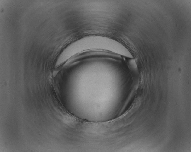 X0000089680045200707121300