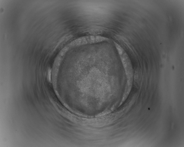 X0000089680046200707121300