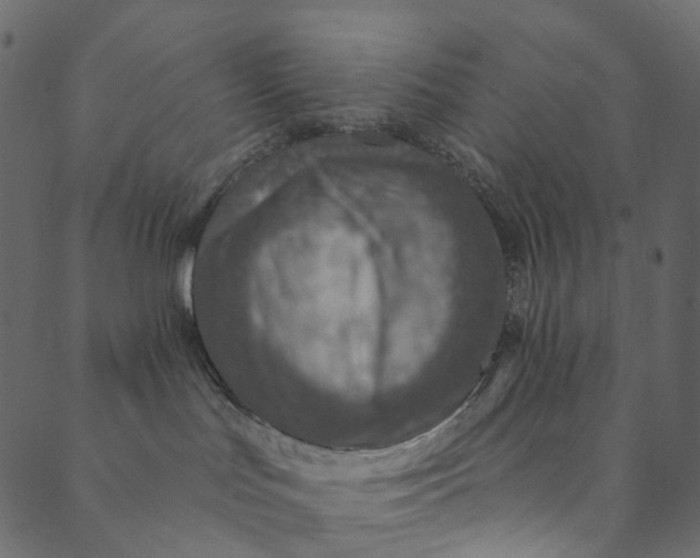 X0000089680047200707121300