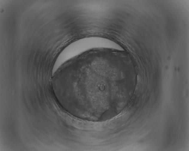 X0000089680048200707121300