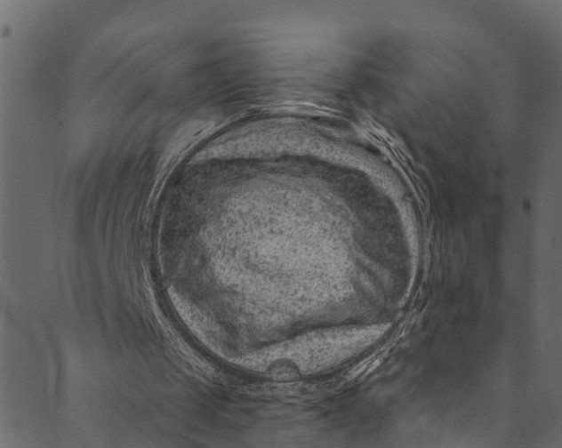 X0000089680049200707121259