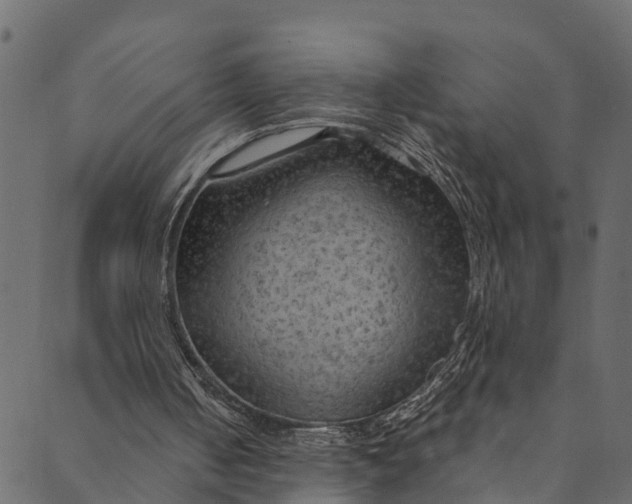 X0000089680050200707121259