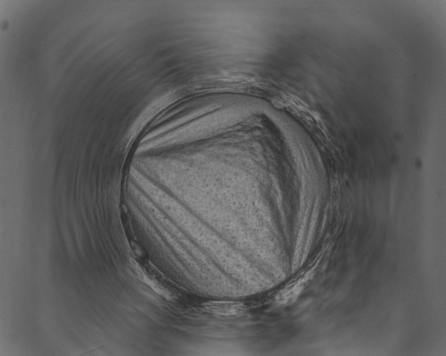 X0000089680051200707121259