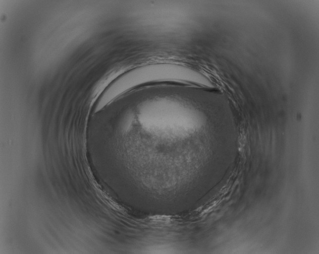 X0000089680052200707121259