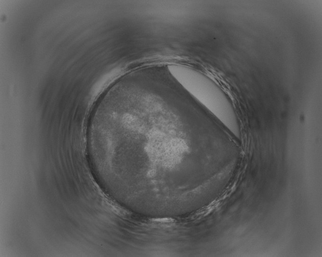 X0000089680053200707121259