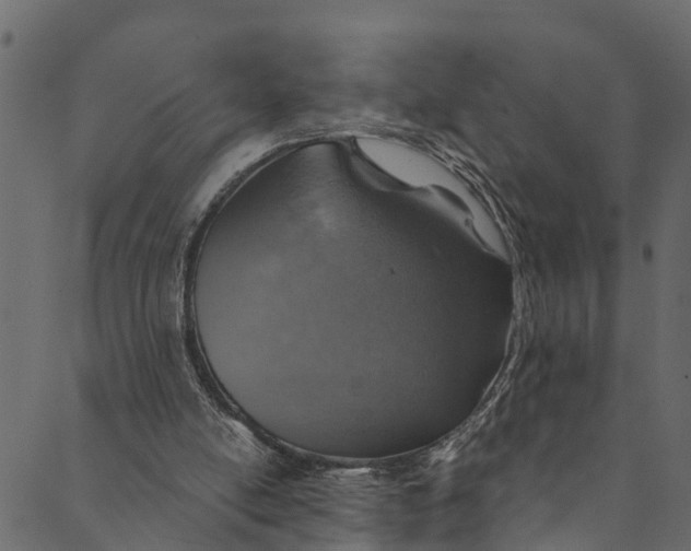 X0000089680054200707121259