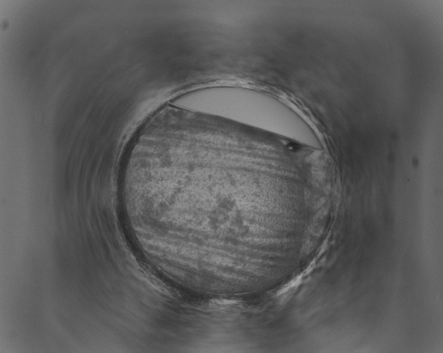 X0000089680055200707121259