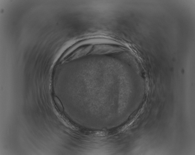 X0000089680056200707121259