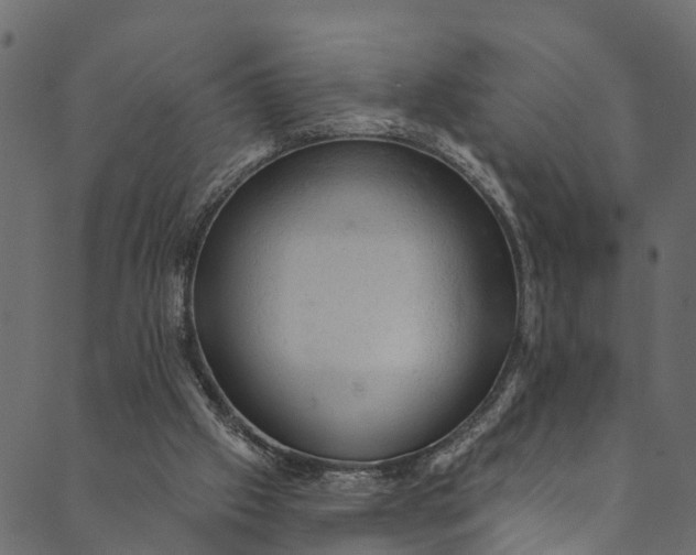 X0000089680057200707121259