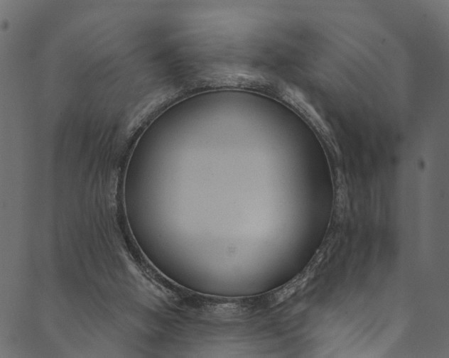 X0000089680058200707121259