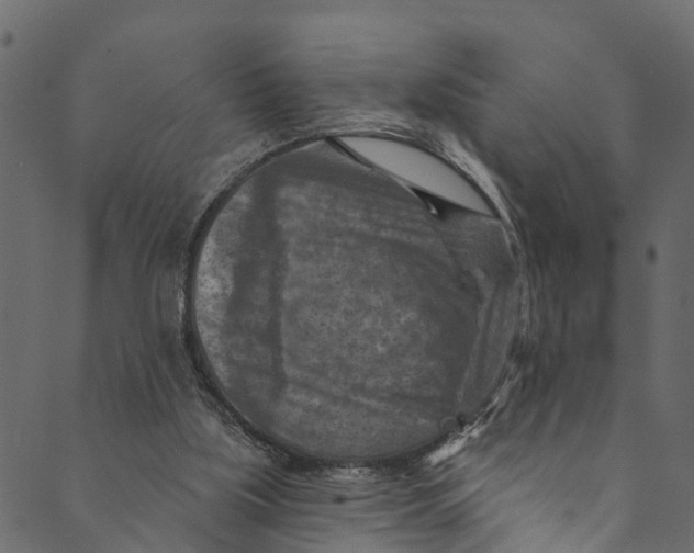 X0000089680059200707121259