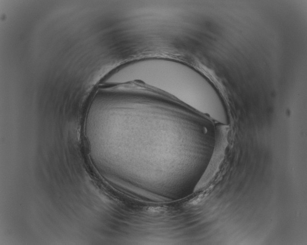 X0000089680060200707121259